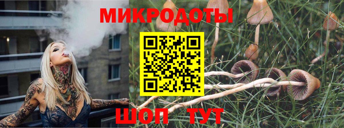 что такое   Вход с VPN  Самара  Галлюциногенные грибы ЛСД 