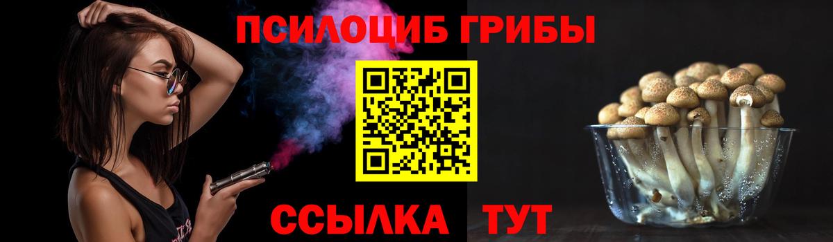 Псилоцибиновые грибы Psilocybine cubensis Самара